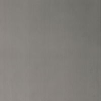 SIBU - LUXEWALLS 28716 WP TARGET METALLIC USED Titan NA - 260cm x 100cm x 4,4mm, nicht rollbar